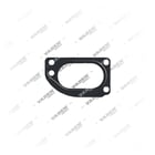 8170519, 526.03.0002 0103 011, Gasket, Water Pump, Vaden