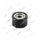 51958006089,51958006096,APV2825, 332.02.0004 Tension Roller, Fan, Vaden