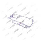 4721840380,4721841980, 0101 317 Gasket, Refrigerador de óleo, Vaden