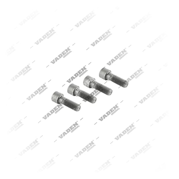 4554001 Bolt, Brake Caliper Cover