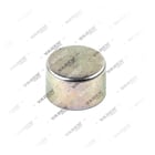 3434381700, 3515005 Cover, Brake Caliper Pin, Vaden