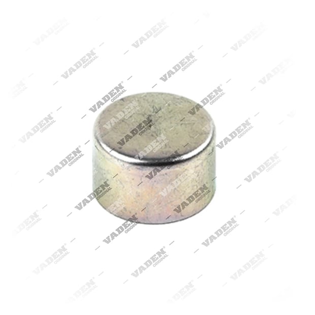 3515005 Cover, Brake Caliper Pin