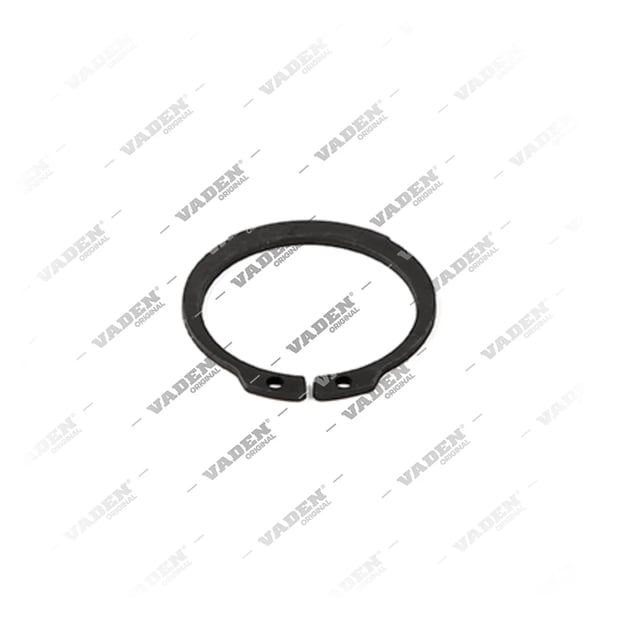 4020015 Ring, Brake Caliper Shaft