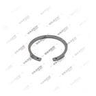 , 4520002 Ring, Brake Caliper Mechanism, Vaden
