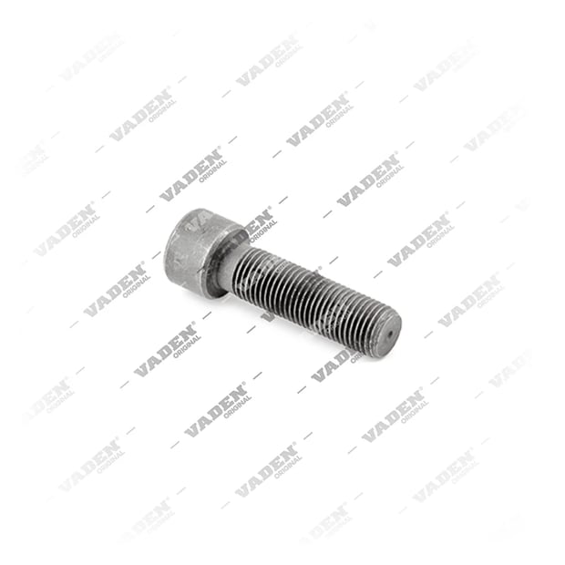 4104029 Bolt, Brake Caliper Pin