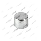, 3515008 Cover, Brake Caliper Pin, Vaden