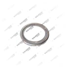 1910706,2223488, 1400 03 003 Placa de sensor, Sensor ABS, Vaden
