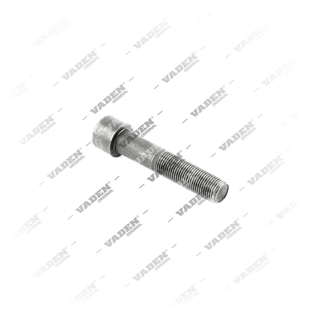 4004017 Bolt, Brake Caliper Cover