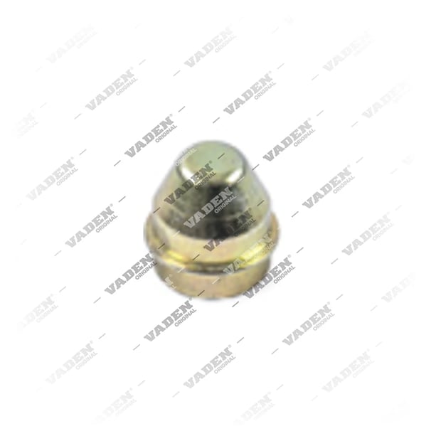 4015002 Cover, Brake Caliper Pin