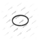 , 4502021 Pistón, Clavija Pinza, Vaden