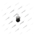 2100525,KG25000602,81307156132, 81307156132 MAN LIONS Cilindro maestro, Vaden