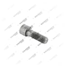 , 4504013 Schraube, Bremssattelabdeckung, Vaden