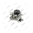 7420834409,7420997647,7420997650,7485003894, 7420834409 RENAULT TRUCKS   0107 065, Pompa wody, Vaden
