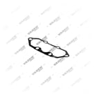 , 4123015 Plate, Brake Caliper Cover, Vaden