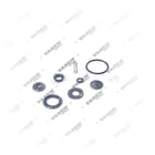 4750100022,1347695, 301.07.0005.01 Repair Kit, Unloader Valves, Vaden