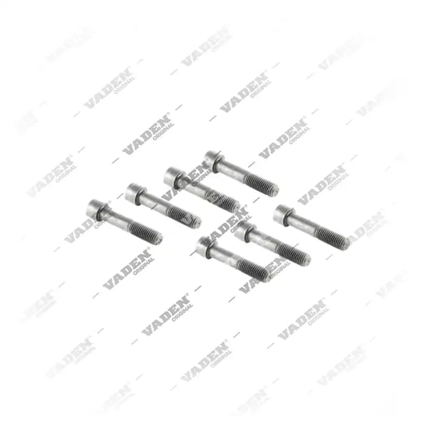 1) , 4156010 Schraube, Bremssattelabdeckung, Vaden