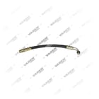 1598561,8156040, 430.03.0001 Tubo, Sterzo, Vaden