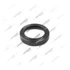 , 4023003 Sentido, Eixo da pinça, Vaden