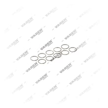 4156081 Ring, Brake Caliper Shaft