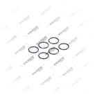 1629458,2000732,2121398, 0106 116 Gasket, Cylinder Head, Vaden