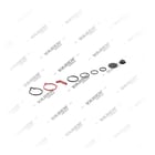 4728909252, 303.04.0089.01 Tamir Takımı, ECAS Selenoid Valf, Vaden