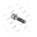 , 4104020 Civata, Kaliper Perno, Vaden