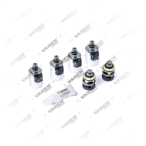 1) 4213500810S1,4213500820S1,4213500840S1,4213500860S1,4213500880S1,4213520880S1, 303.11.0077.01 Kit di riparazione, Cilindro del cambio, Vaden