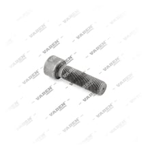 4104029 Bolt, Brake Caliper Pin