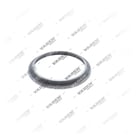 0106 003 Sensor Ring, ABS Sensor - Front Perspective View