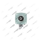 5001866284,5010545581,629300AM, 306.01.0005 Alt Merkez, Vaden