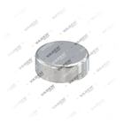 , 3515007 Kapak, Kaliper Perno, Vaden