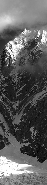 Der aufstrebende Stern der Branche!

