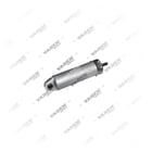 1638641, 493.06.0004 Cylinder, Exhaust Brake, Vaden