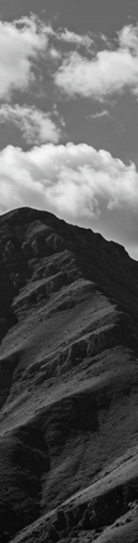 Yerelden Globale, Markamızın İzinde!