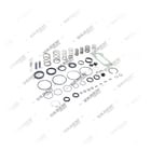 0501217253S1, 303.11.0091.01 Tamir Takımı, Şanzıman Silindiri, Vaden