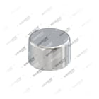 3434381700, 3515005 Крышка, Направляющая Суппорта, Ваден