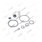 9730110000S2,9730110010S2,9730110050S2,9730110110S2, 303.01.0010.02 Tamir Takımı, Role Ventili, Vaden