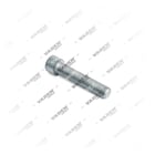 , 3504010 Bolt, Brake Caliper Pin, Vaden