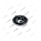 4602007 Piston, Kaliper Perno - Front Perspective View