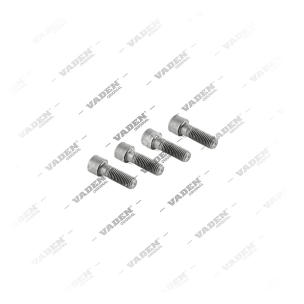 1) , 4554001 Bolt, Brake Caliper Cover, Vaden