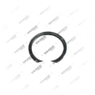 , 4005008 Ring, Caliper Tappet, Vaden