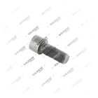 68130144, 4104010 Bolt, Brake Caliper Cover, Vaden