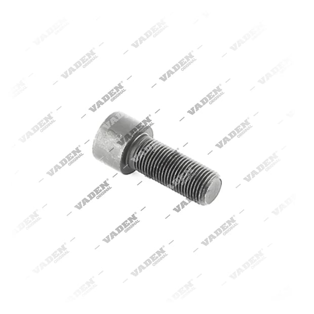 4104010 Bolt, Brake Caliper Cover