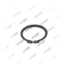, 4020013 Ring, Brake Caliper Mechanism, Vaden