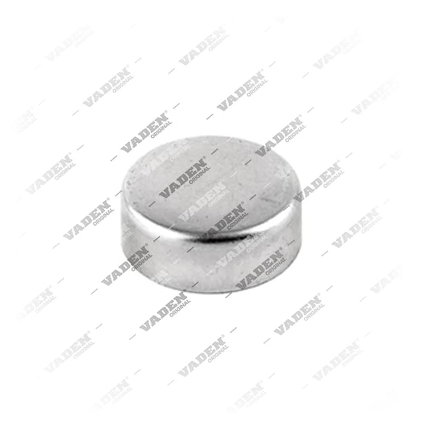 4115039 Plate, Brake Caliper Cover