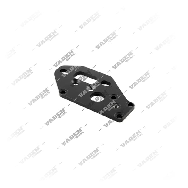 4117010 Plate, Brake Caliper Cover